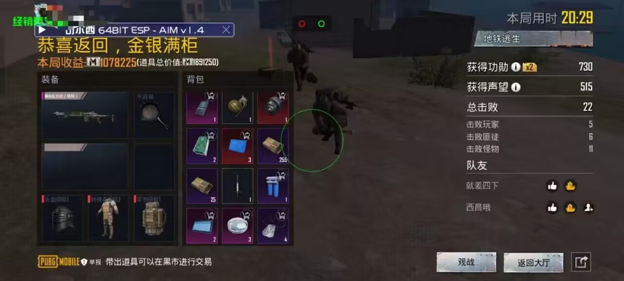 和平精英「战神w」辅助